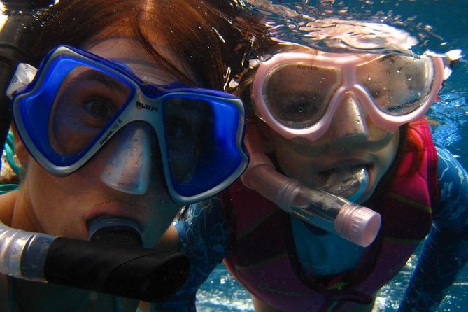 West Oahu Afternoon Turtle Snorkel Sail - Who should book this, and who might want a different plan