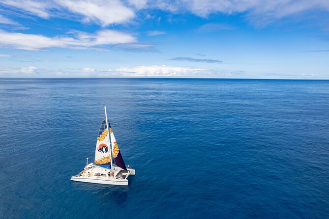 West Oahu Dolphin Watch and Snorkel Sail with Lunch - Dolphin viewing rules, the seasonal guarantee, and Dolphin SMART