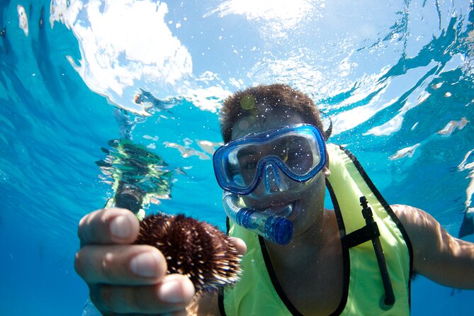 West Oahu Dolphin Watch and Snorkel Sail with Lunch - Snorkel time at a calm spot, with gear and a real guide