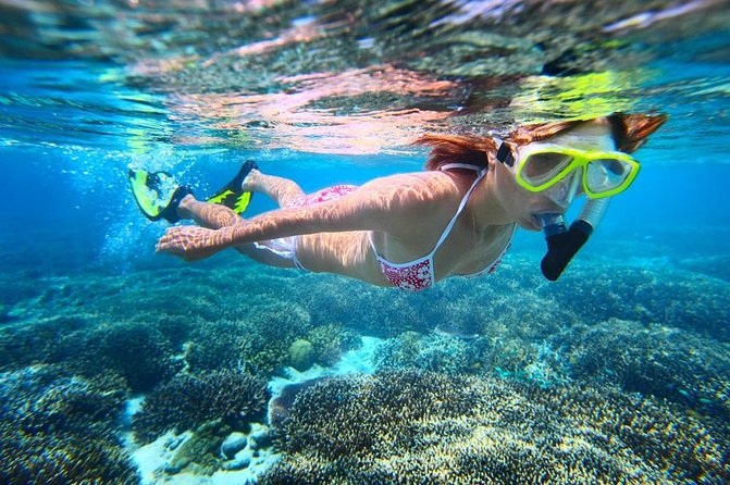 West Oahu Dolphin Watch and Snorkel Sail with Lunch - Price check: does $125.95 make sense?
