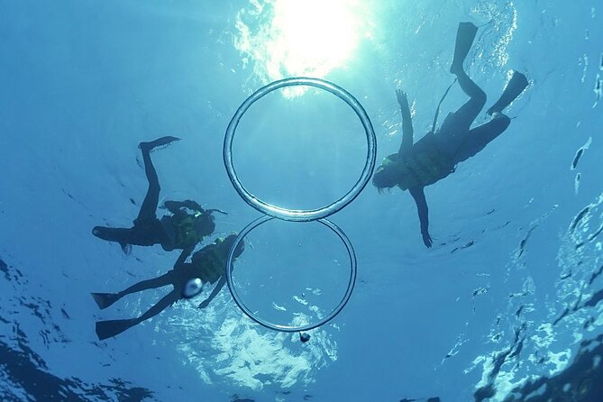Whale & Dolphin Watching, Turtle Snorkeling - Small Group Whale Watching: Why 25 Passengers Matters