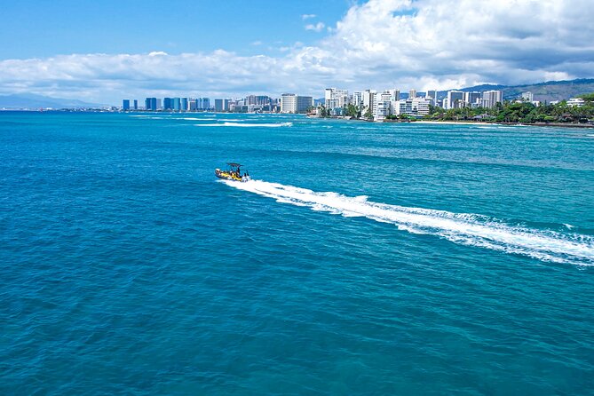 Whale Watching Adventure -Speed Boat & Small Group - Waikiki coastline and Diamond Head views from the water