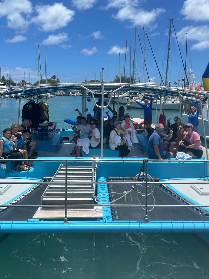 Whale Watching Cruise in Waikiki Oahu - SEE THE HUMPBACKS! - Price and Value: Is $80 Worth It?