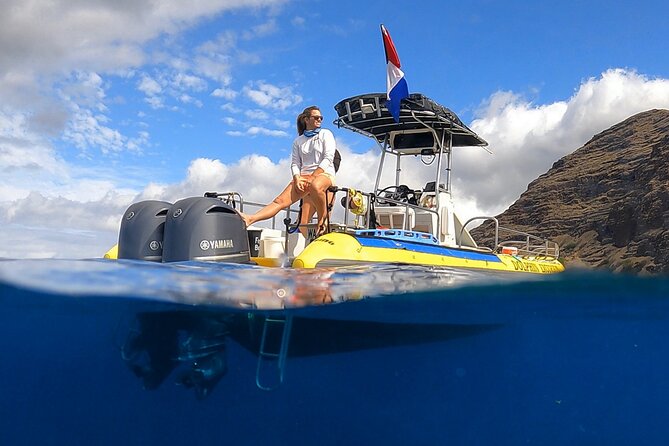 Wild Dolphin Watching and Snorkel Safari Off West Coast of Oahu - Quick take: what makes this Oahu dolphin and snorkel trip work
