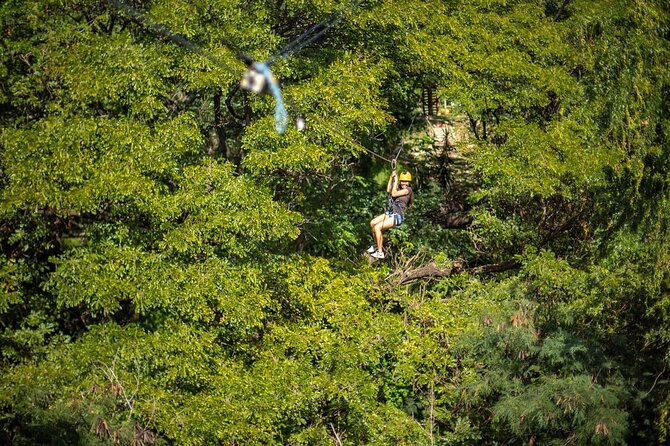 Zip & Dip: Zipline and Wet 'n' Wild Waterpark Combo - Price and Value: When $176.03 Makes Sense