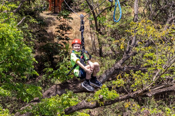 Zip & Dip: Zipline and Wet 'n' Wild Waterpark Combo - Should You Book Zip & Dip Zipline and Wet n Wild?